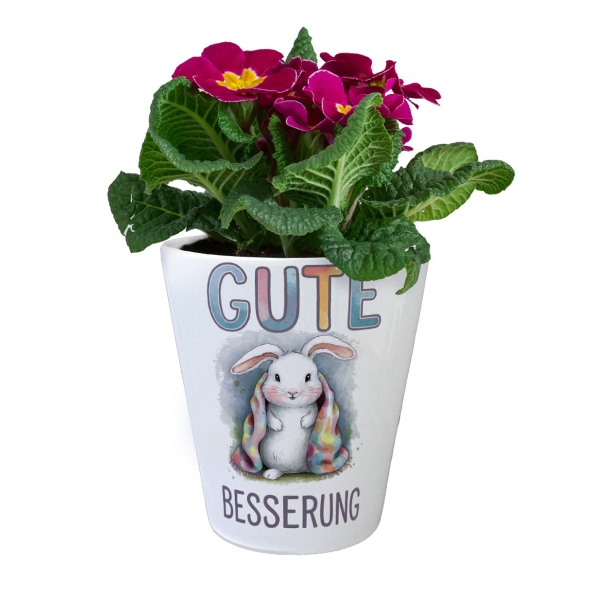 Gute Besserung Blumentopf - Weißes Kaninchen in einer Decke
