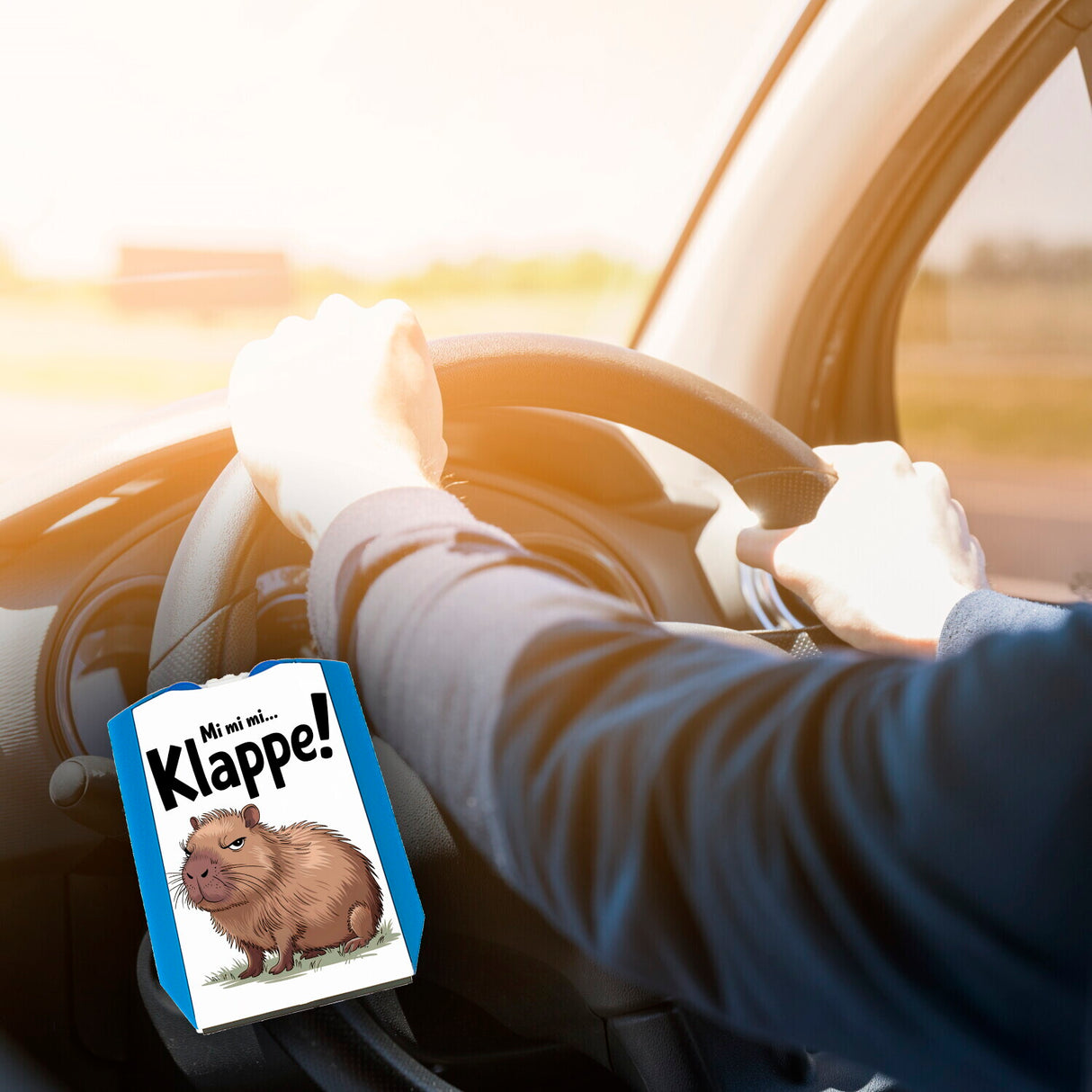 Mi mi mi... Klappe! Grimmiges Cabybara Parkscheibe