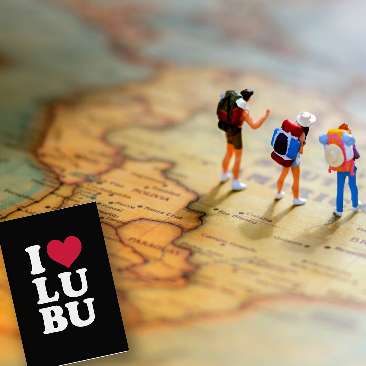 Ludwigsburg Souvenir Magnet in schwarz mit Text I love LUBU