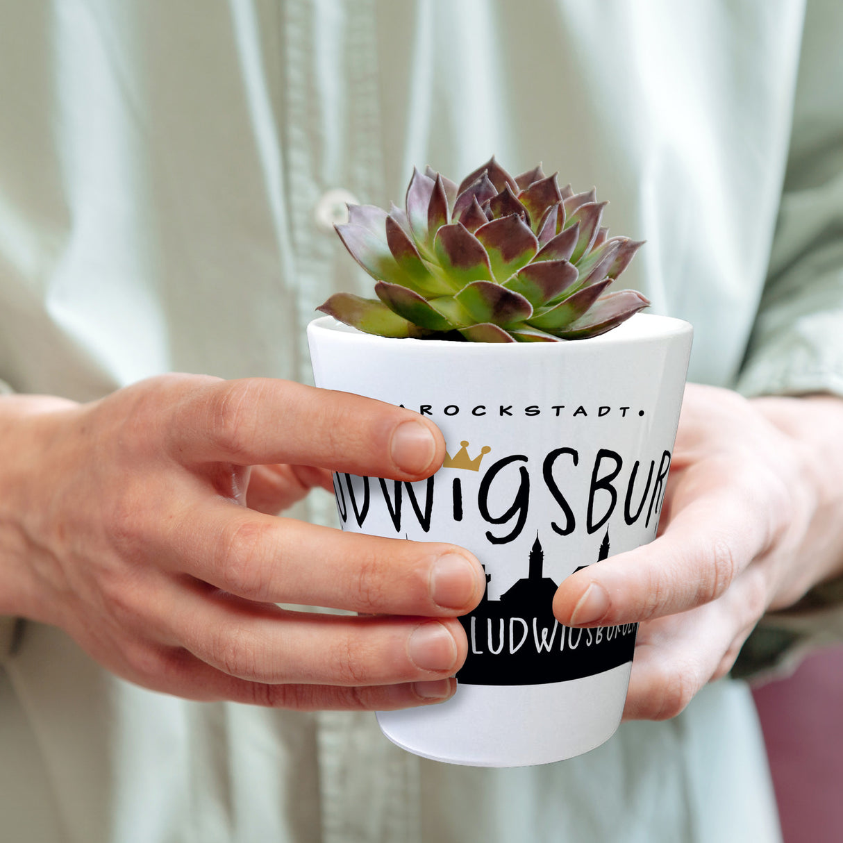 Ludwigsburg Skyline Blumentopf - Bin ein Ludwigsburger