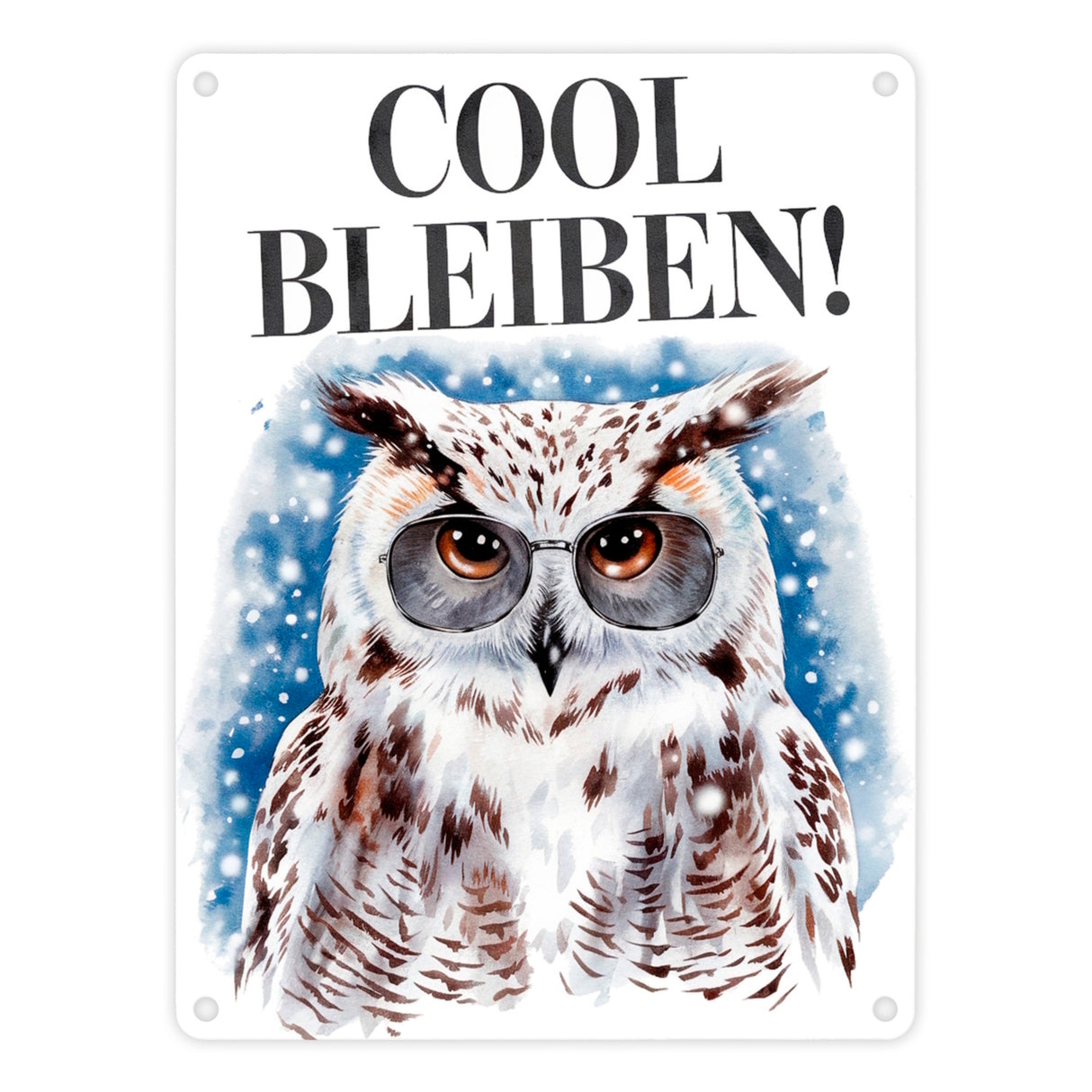 Schneeeule mit Sonnenbrille Cool bleiben Metallschild in 15x20 cm