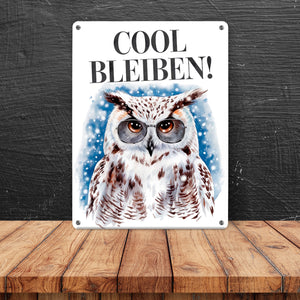 Schneeeule mit Sonnenbrille Cool bleiben Metallschild in 15x20 cm