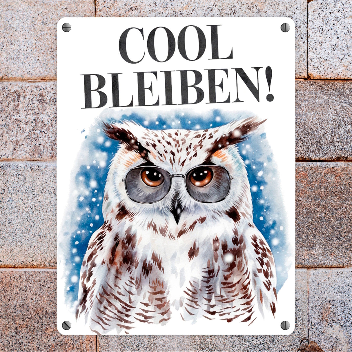 Schneeeule mit Sonnenbrille Cool bleiben Metallschild in 15x20 cm