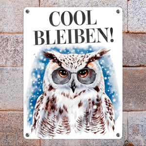 Schneeeule mit Sonnenbrille Cool bleiben Metallschild in 15x20 cm