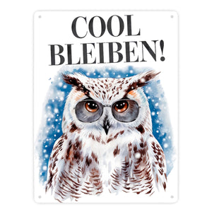 Schneeeule mit Sonnenbrille Cool bleiben Metallschild in 15x20 cm