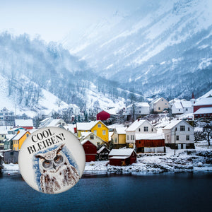 Schneeeule mit Sonnenbrille Cool bleiben Magnet