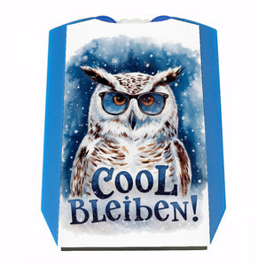 Cool bleiben Parkscheibe Schneeeule mit Sonnenbrille