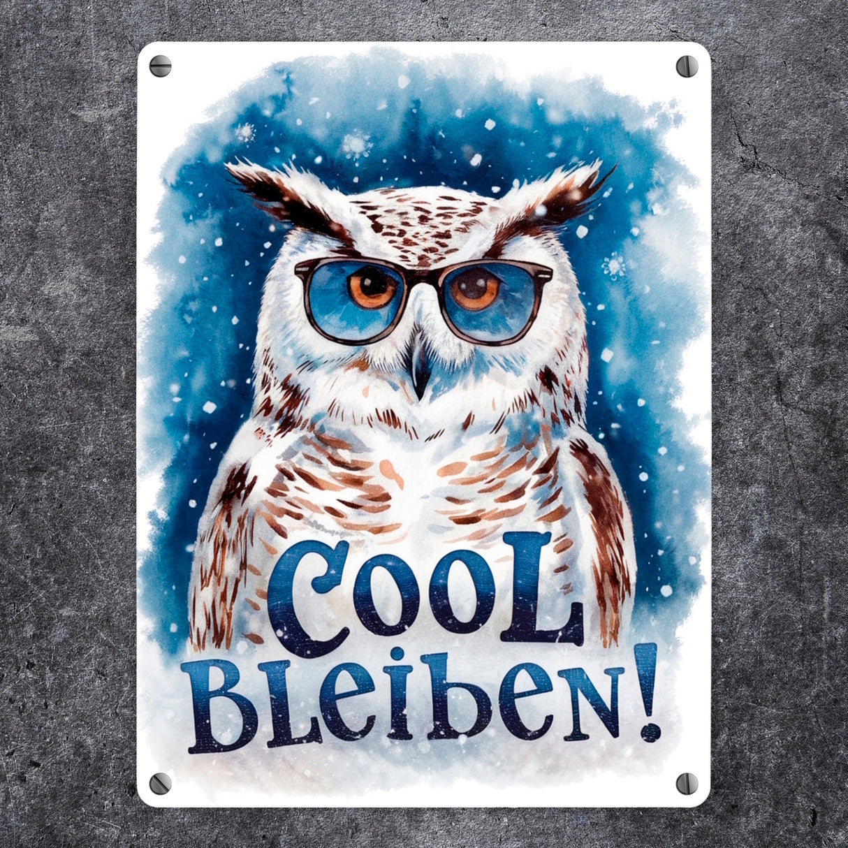 Cool bleiben Metallschild in 15x20 cm Schneeeule mit Sonnenbrille