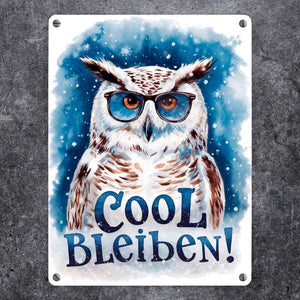 Cool bleiben Metallschild in 15x20 cm Schneeeule mit Sonnenbrille