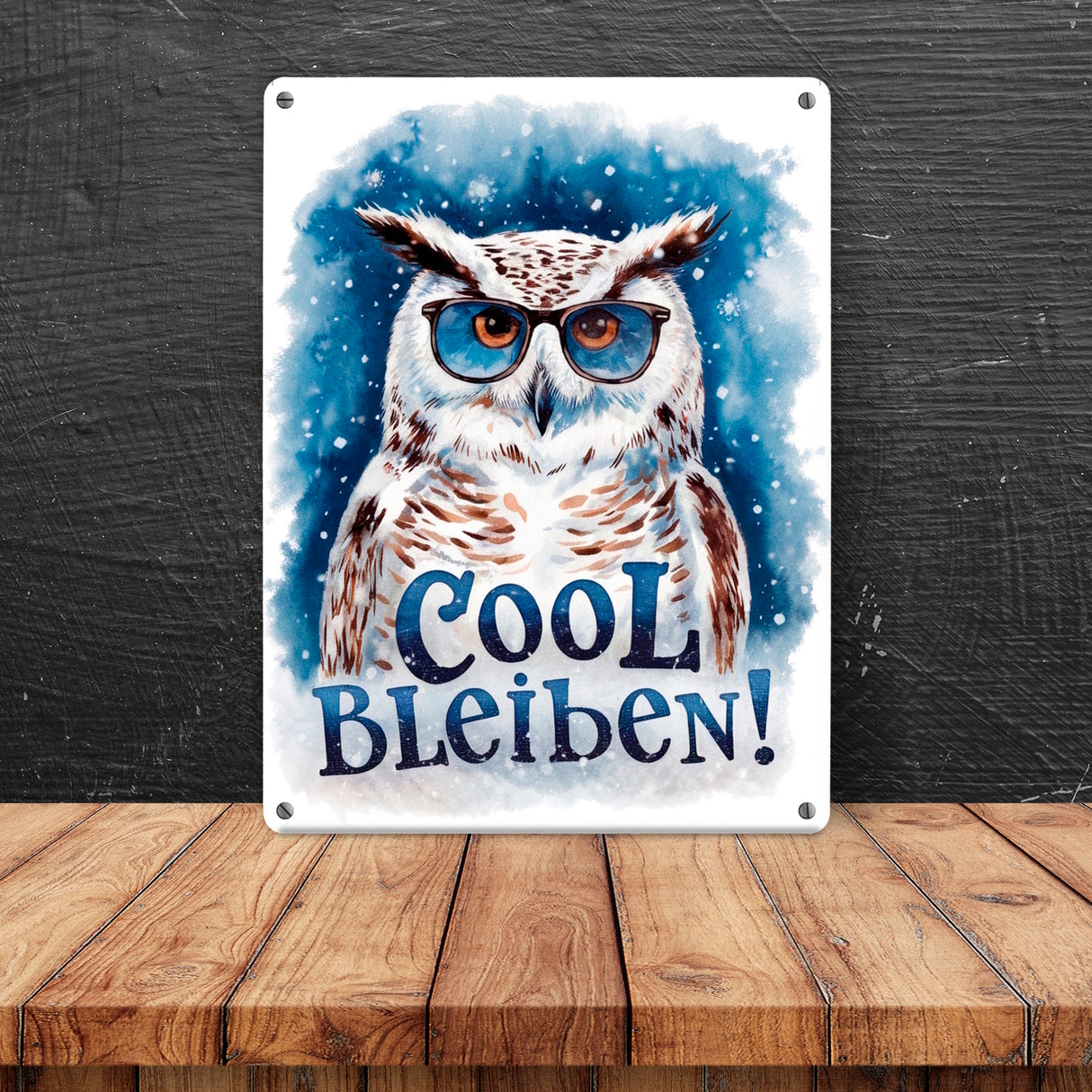 Cool bleiben Metallschild in 15x20 cm Schneeeule mit Sonnenbrille