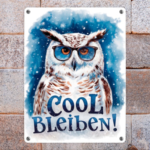 Cool bleiben Metallschild in 15x20 cm Schneeeule mit Sonnenbrille