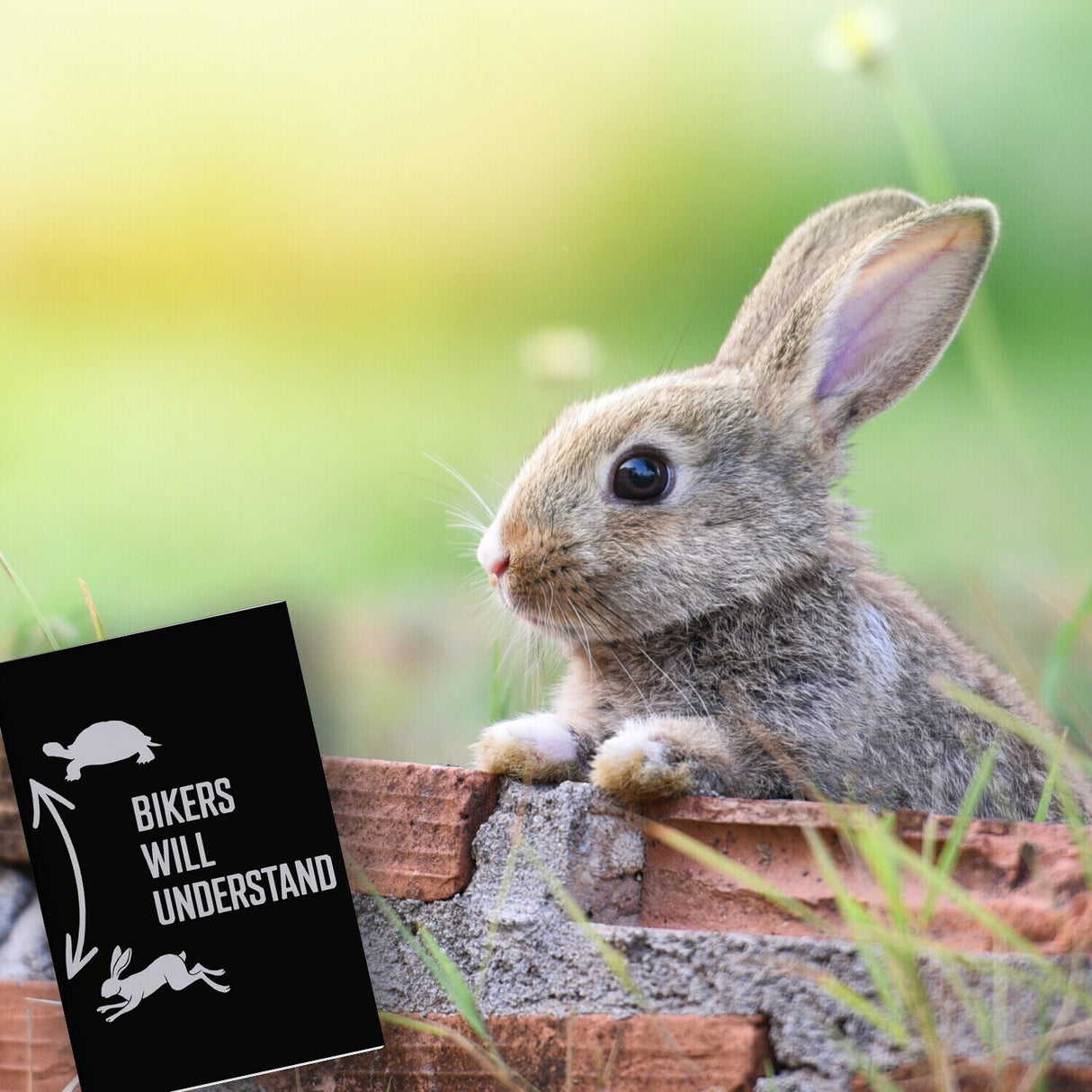 Bikers will understand Souvenir Souvenir Magnet mit Hase und Schildkröte für Motorradfahrer