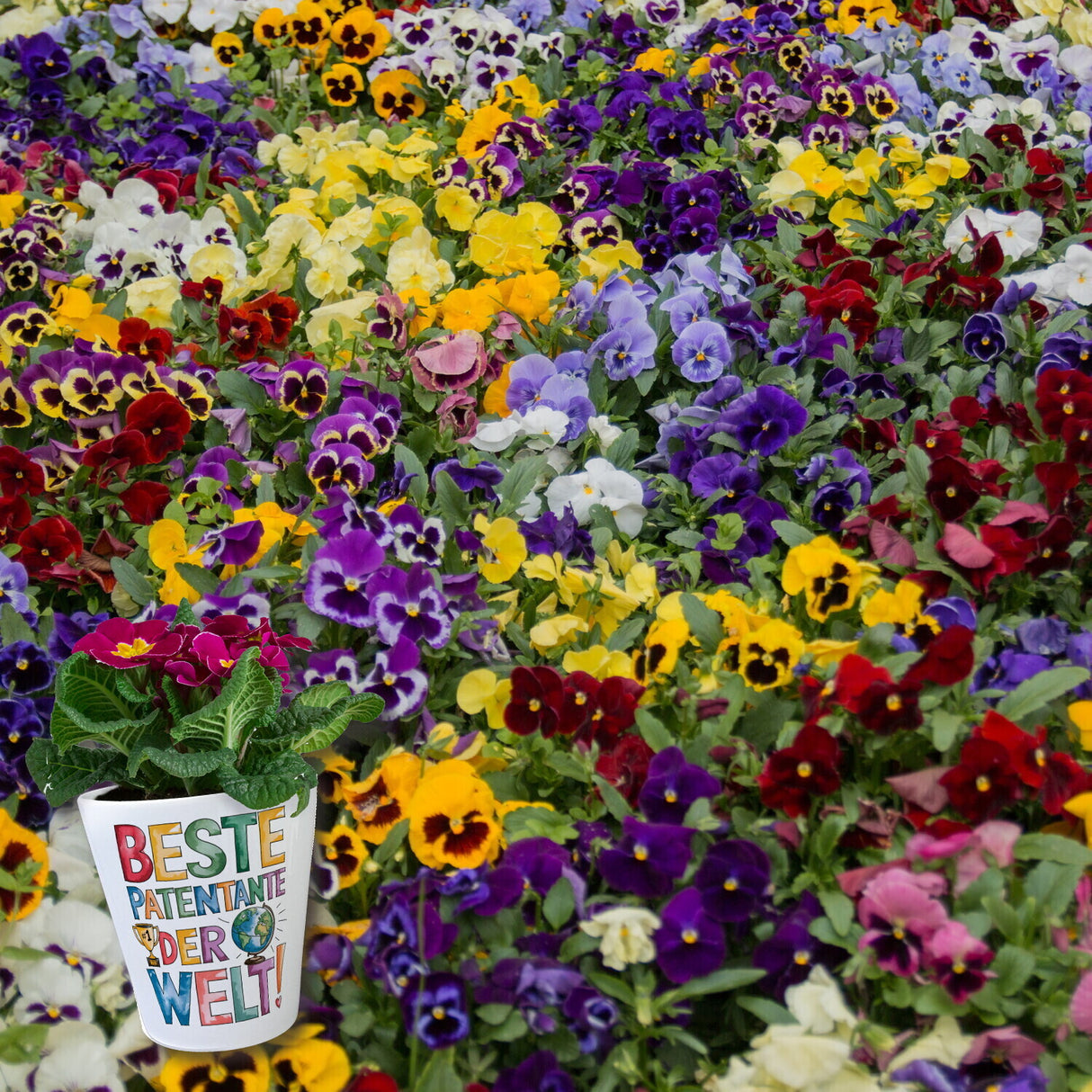 Beste Patentante der Welt Blumentopf goldener Pokal Globus