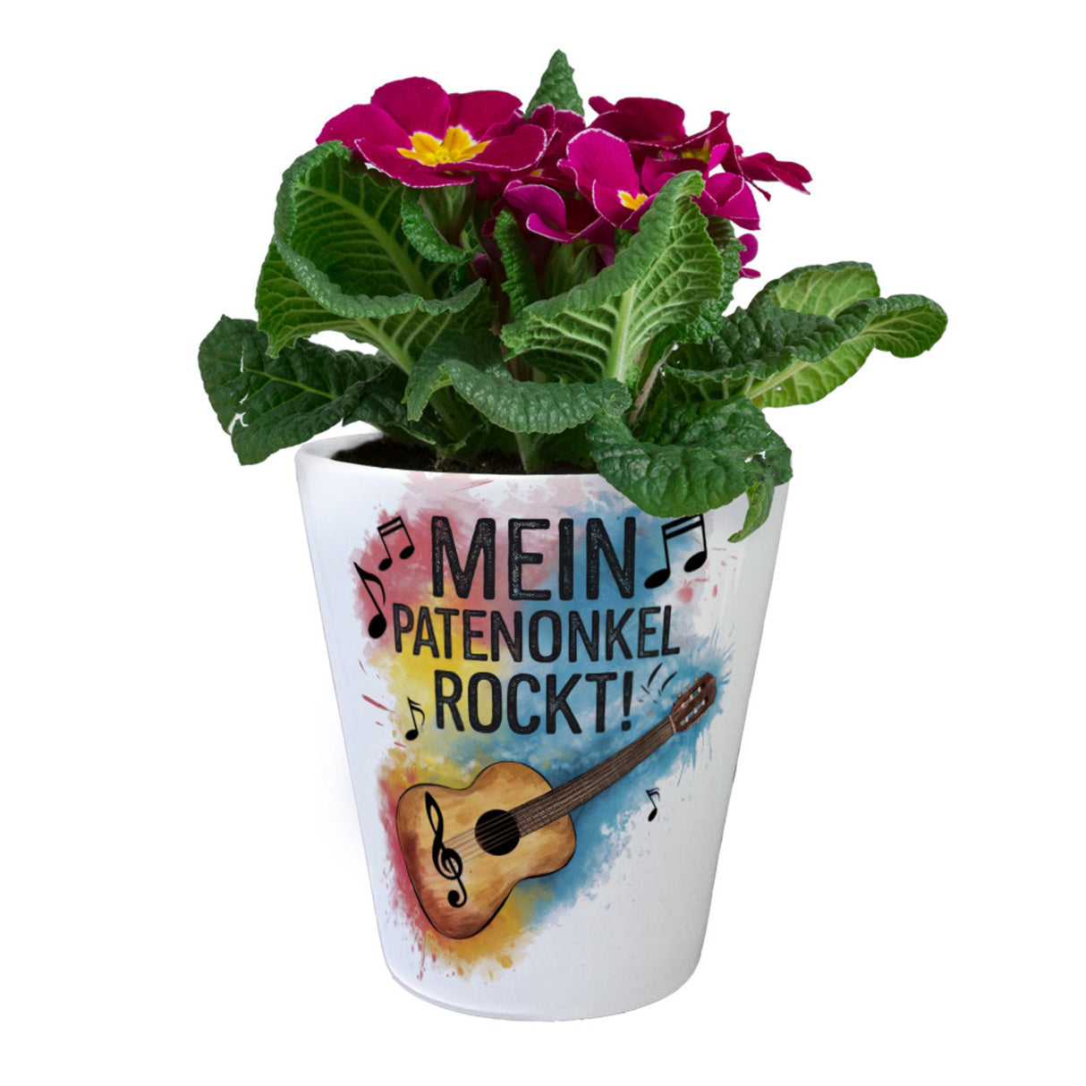 Mein Patenonkel rockt Blumentopf Gitarre