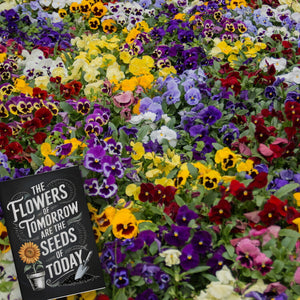 Die Blumen von morgen Souvenir Magnet für Gartenfreunde