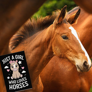 Just a girl love horses Souvenir Magnet Pferd Sterne Herzen