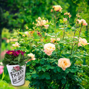 Ficken Sie Sich Blumentopf Rose Vintage