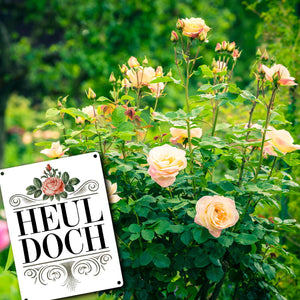Heul doch Rose Metallschild in 15x20 cm Rosendekor
