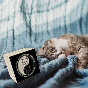Katzen Yin und Yang Spardose für Katzenliebhaber