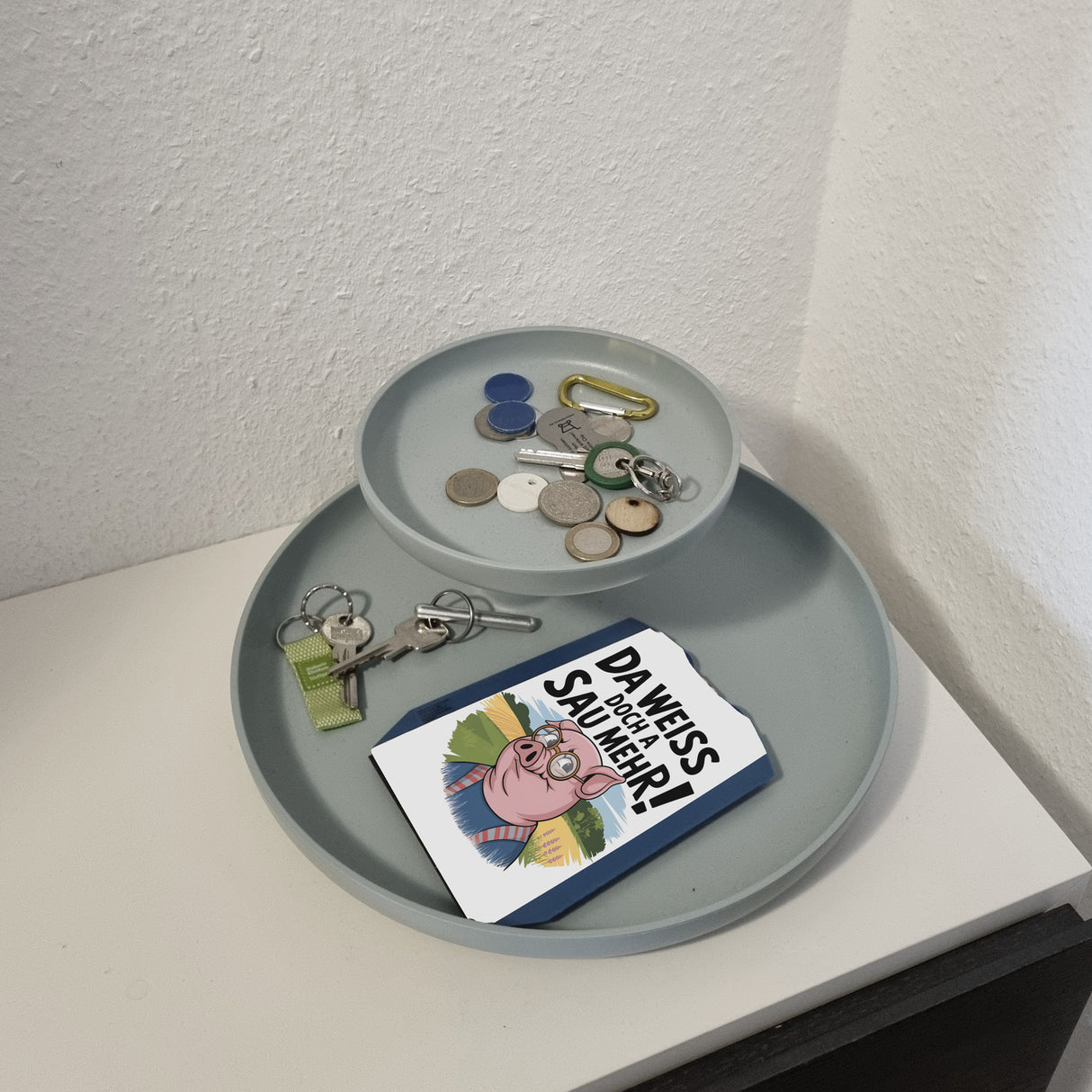 Cartoon Sau mit Brille Parkscheibe A Sau weiß mehr