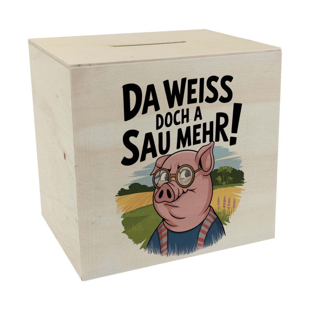 Cartoon Sau mit Brille Spardose A Sau weiß mehr