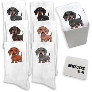 epicsocks Dackelliebe Socken in 37-41 im 6er Set in Geschenkdose im 6er Set in Geschenkbox