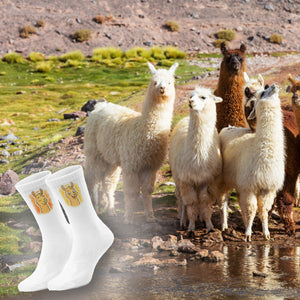 epicsocks Llama Expressions Happy Lama Socken in 37-41 im Paar