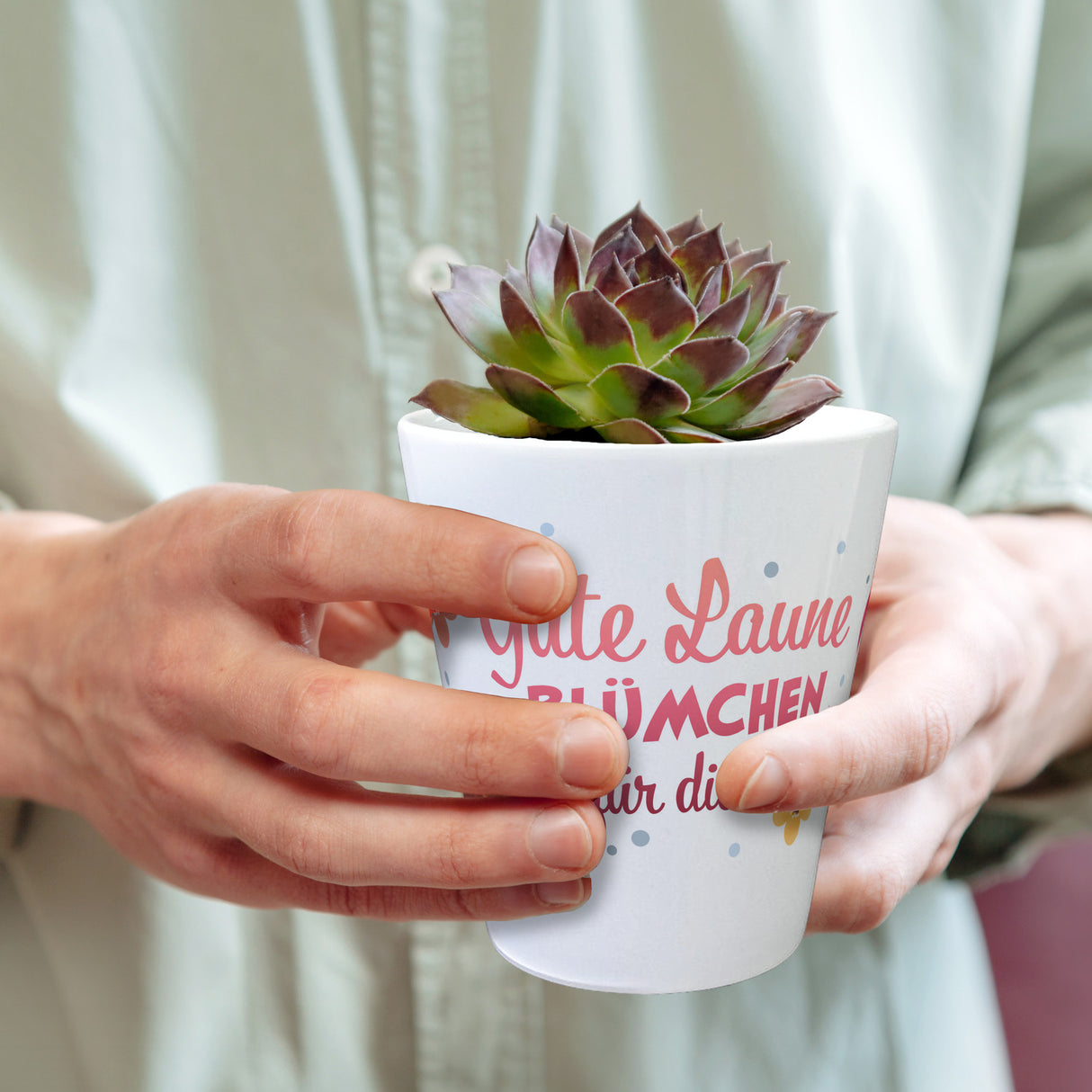 Gute Laune Blümchen für dich Blumentopf