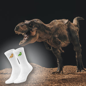 epicsocks Dino Delight Dino Power Socken in 37-41 im Paar