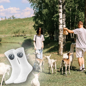epicsocks Wolfsnacht Ruhender Wolf Socken in 37-41 im Paar