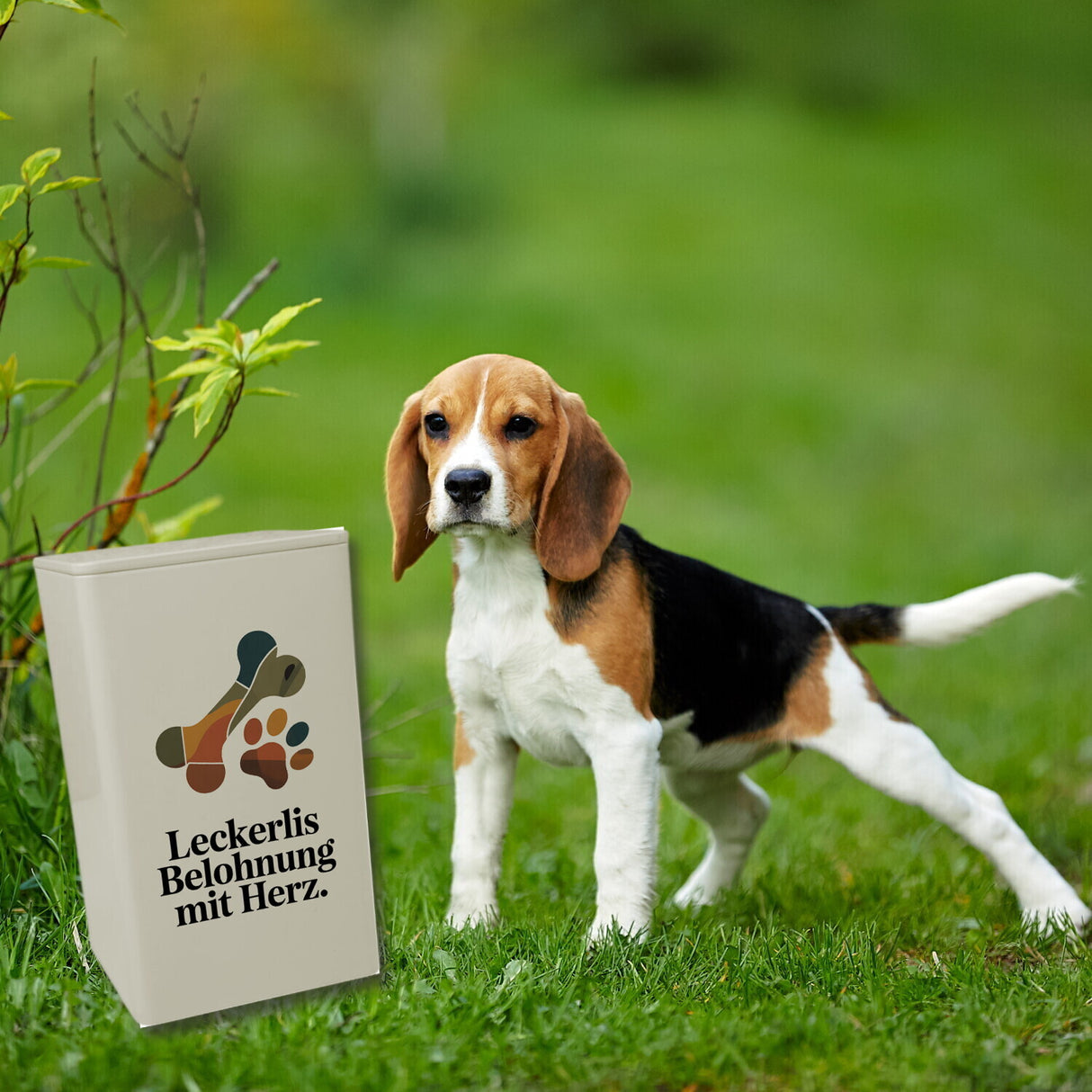 Pfote Dose 900ml für Leckerlis und Hundeknochen