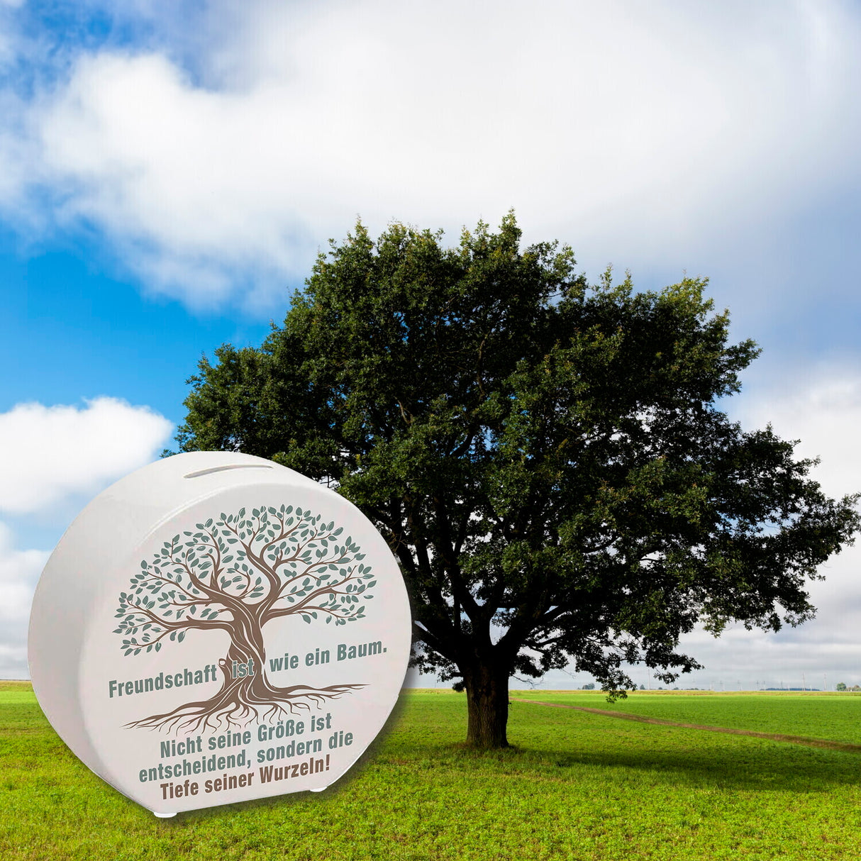 Baum mit Wurzeln Spardose mit Spruch: Freundschaft wächst durch tiefe Wurzeln