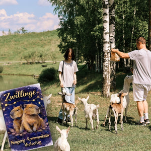 Zwilling Sternzeichen Cabybara Souvenir Magnet für Astrologie Fans