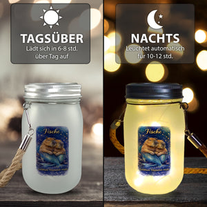 Fisch Sternzeichen Cabybara Solarlicht für Astrologie Fans