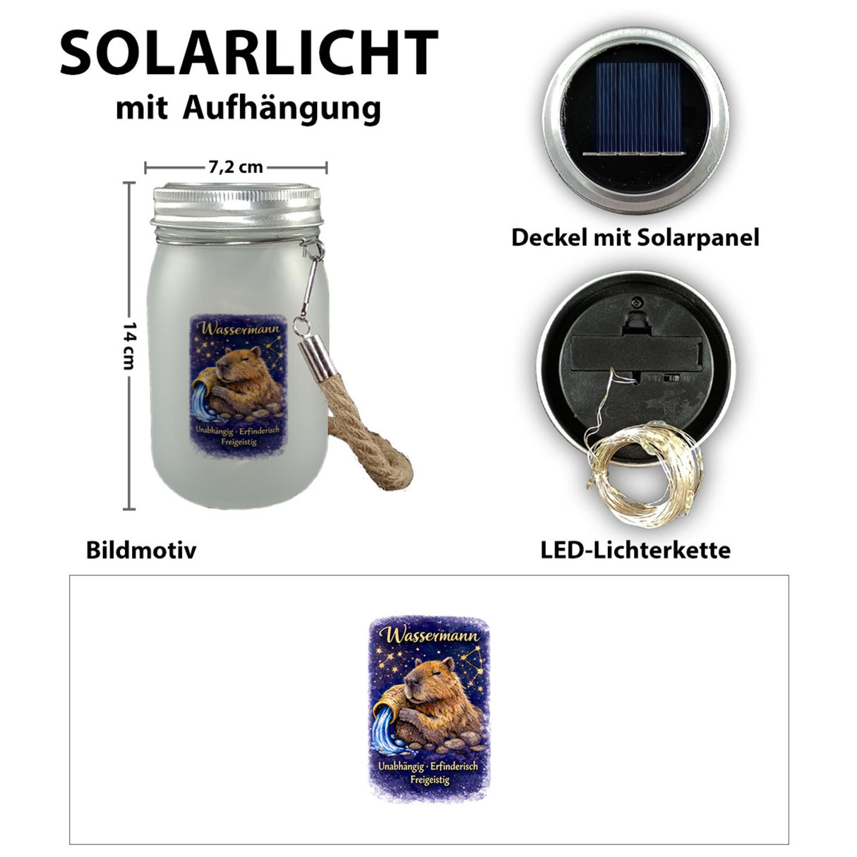 Wassermann Sternzeichen Cabybara Solarlicht für Astrologie Fans