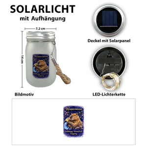 Wassermann Sternzeichen Cabybara Solarlicht für Astrologie Fans