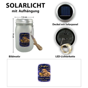 Jungfrau Sternzeichen Cabybara Solarlicht für Astrologie Fans