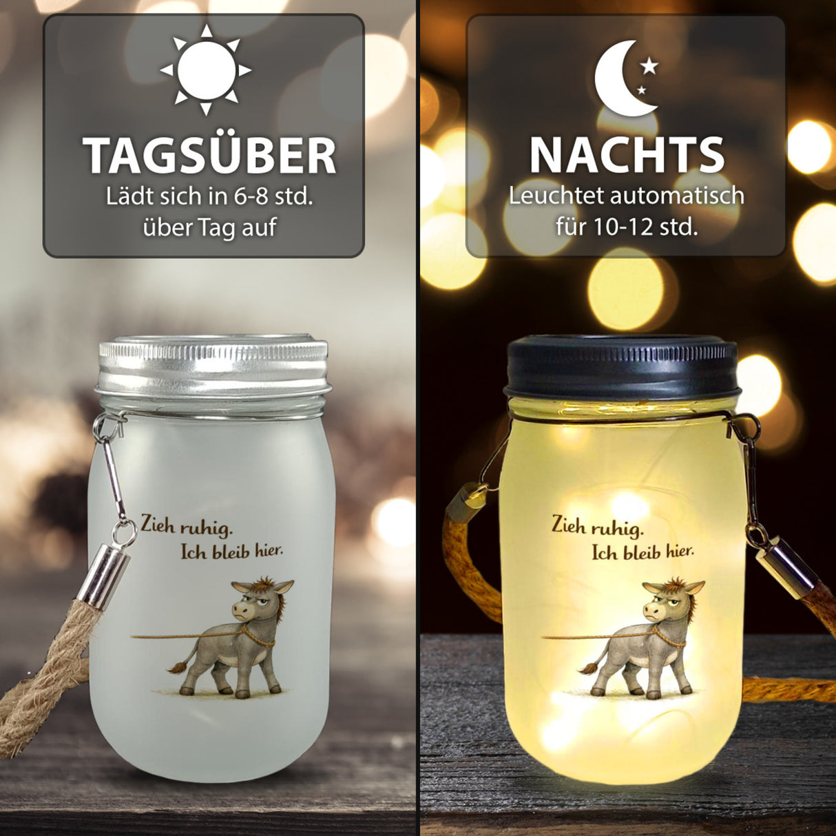 Eddi Esel Zieh ruhig Ich bleib hier Solarlicht für Eselfans