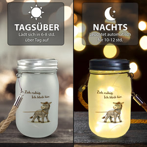 Eddi Esel Zieh ruhig Ich bleib hier Solarlicht für Eselfans