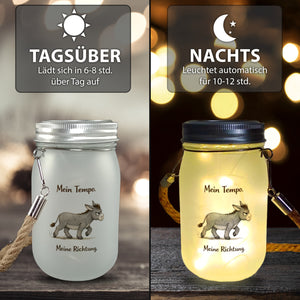 Eddi Esel Mein Tempo Meine Richtung Solarlicht für Tierfans