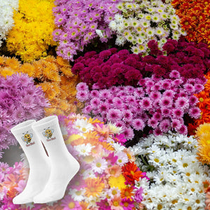 epicsocks Bee Adventures Blumen-Biene Socken in 37-41 im Paar