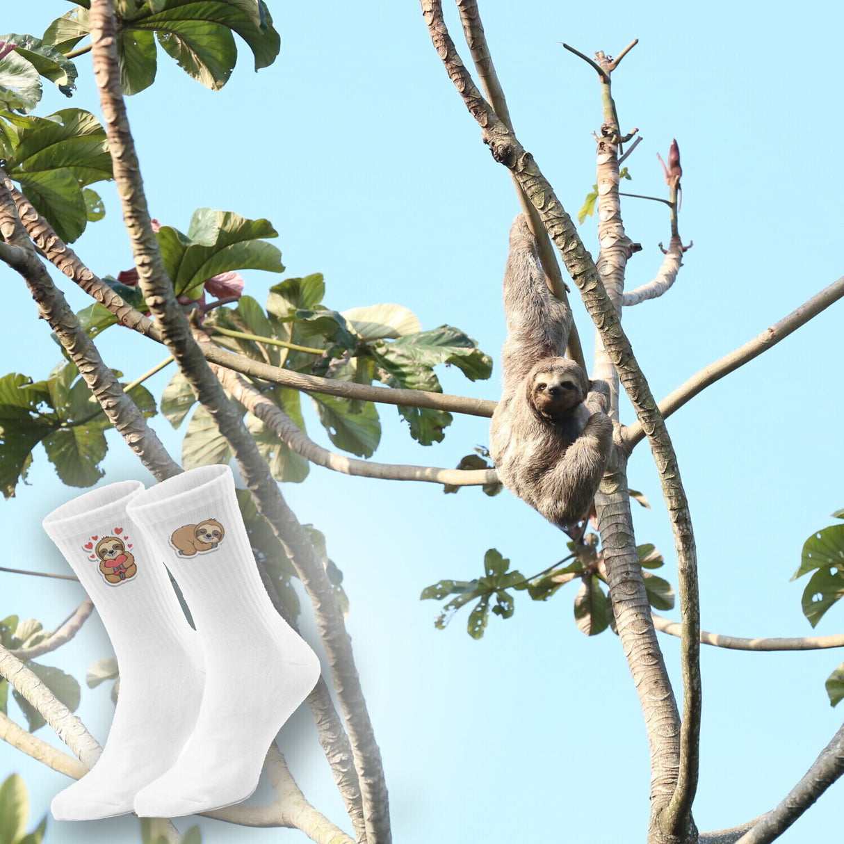 epicsocks Faultier Freude Socken in 37-41 im 6er Set in Geschenkdose im 6er Set in Geschenkbox
