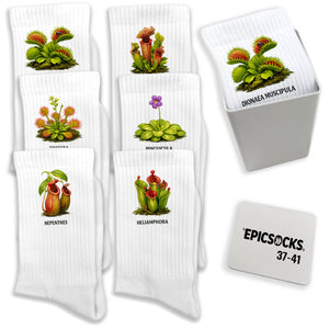 epicsocks Fleischfressende Pflanzen Karnivoren Socken in 37-41 im 6er Set in Geschenkdose im 6er Set in Geschenkbox
