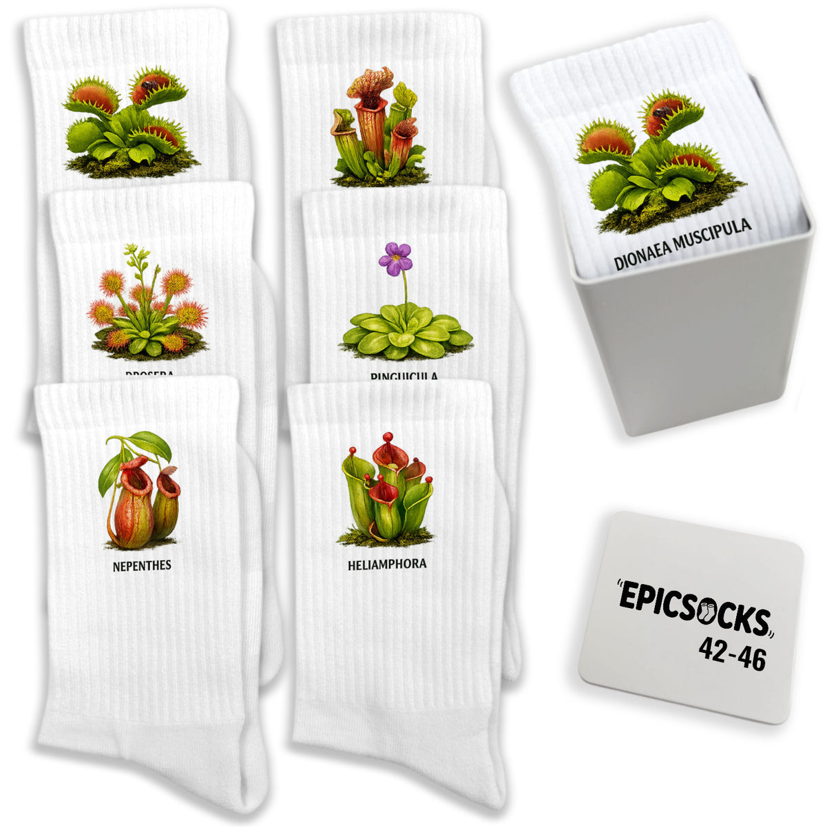epicsocks Fleischfressende Pflanzen Karnivoren Socken in 37-41 im 6er Set in Geschenkdose im 6er Set in Geschenkbox