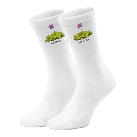 epicsocks Fleischfressende Pflanzen Karnivoren PINGUICULA Socken in 37-41 im Paar