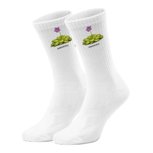 epicsocks Fleischfressende Pflanzen Karnivoren PINGUICULA Socken in 37-41 im Paar