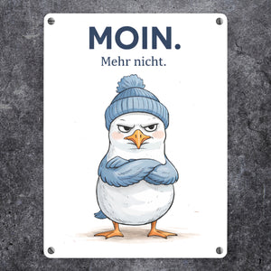 Manfred die Möwe Moin mehr nicht Metallschild in 15x20 cm für Küstenfans