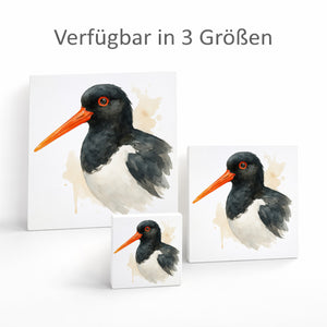 Vogelparade Austernfischer Aquarell Holzbild in 10x10 cm zum Stellen oder Aufhängen