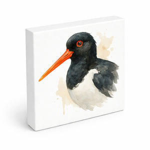Vogelparade Austernfischer Aquarell Holzbild in 10x10 cm zum Stellen oder Aufhängen