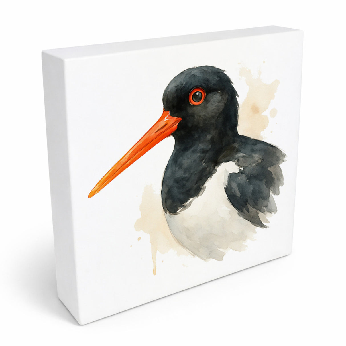 Vogelparade Austernfischer Aquarell Holzbild in 10x10 cm zum Stellen oder Aufhängen